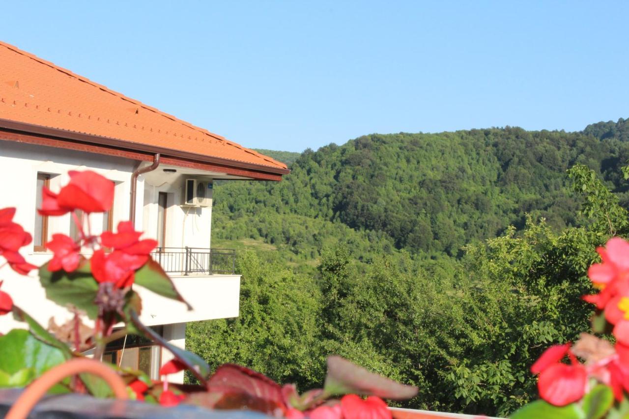 Бадевски Рай- Къща София Veliko Tarnovo Ngoại thất bức ảnh