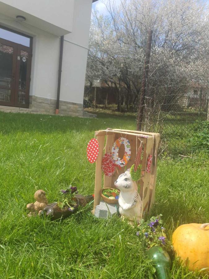 Бадевски Рай- Къща София Veliko Tarnovo Ngoại thất bức ảnh